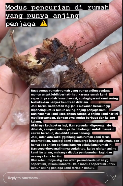 (Instagram/zanetantm) viral dua ekor anjing mati