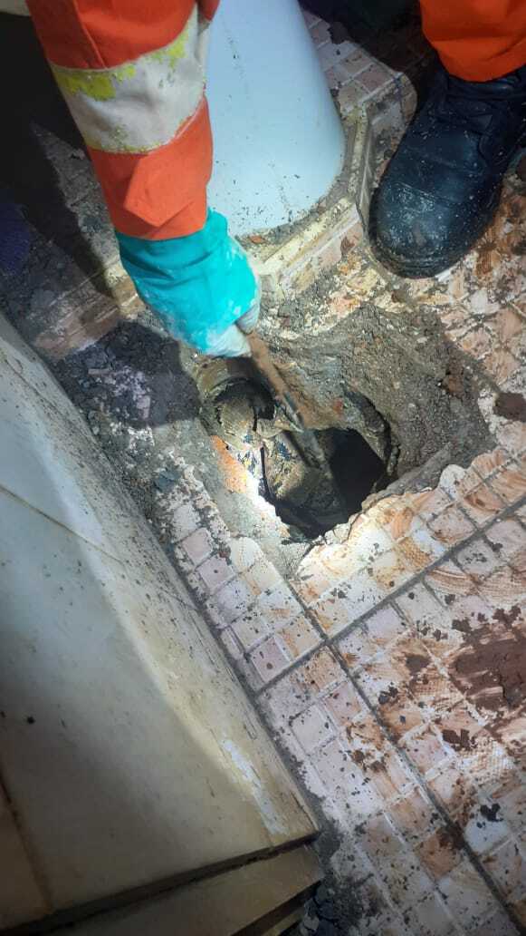 Proses evakuasi ular sanca di rumah warga warga Pondok Bambu, Duren Sawit, Jakarta Timur. (Dok Humas Pemadam Kebakaran DKI Jakarta) ular sanca, evakuasi ular di rumah warga, jakarta timur,