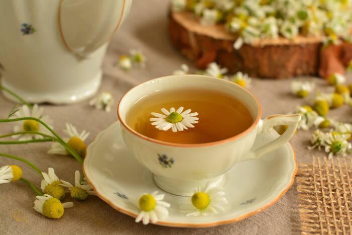 Teh chamomile obat herbal sakit perut (photo/pixabay/ebaso) obat herbal sakit perut