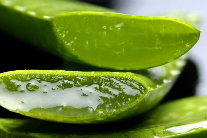 Lidah buaya untuk menghaluskan wajah (photo/pixabay/casellesingold) cara menghaluskan wajah bekas jerawat