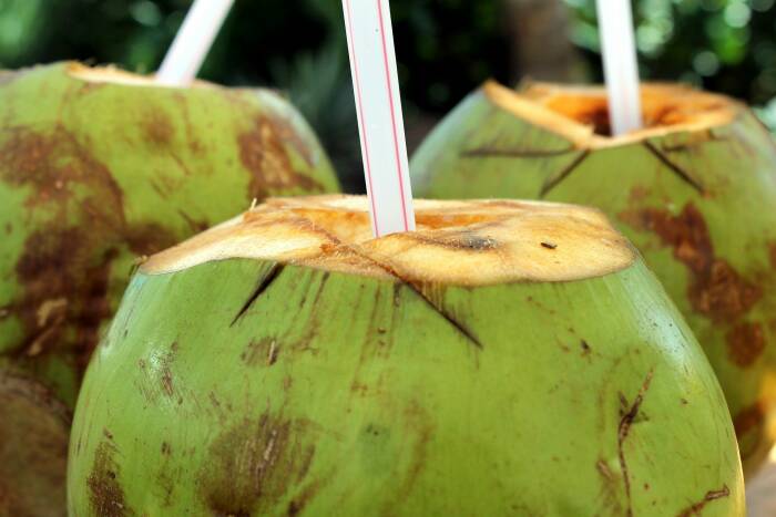 Air kelapa muda minuman penambah imunitas (photo/pixabay/Gadini) minuman penambah imunitas
