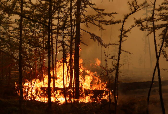 REUTERS/Roman Kutukov Seorang petugas pemadam kebakaran bekerja untuk memadamkan kebakaran hutan di Yakutia