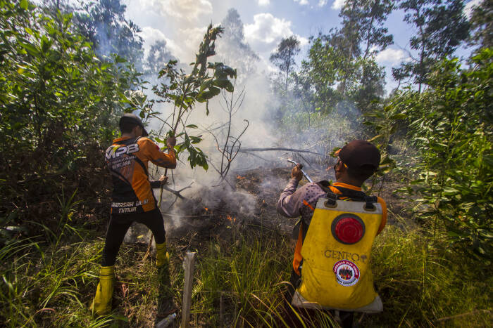 ANTARA FOTO/Bayu Pratama S UPAYA PEMADAMAN KEBAKARAN LAHAN DI KALSEL