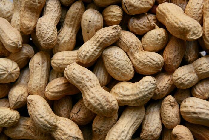 Kacang tanah makanan yang mengandung zinc (photo/pixabay/Nennieinszweidrei) makanan yang mengandung zinc