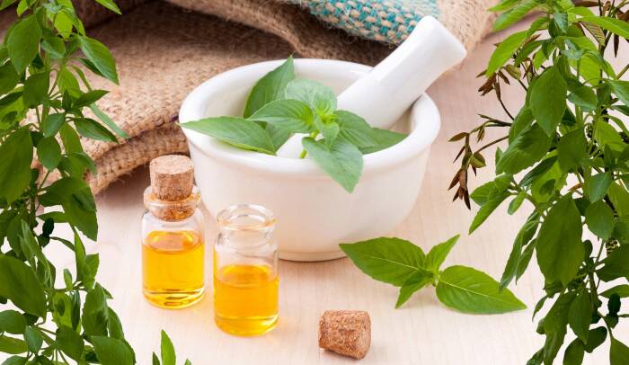 Minyak jarak obat alami anosmia (photo/pixabay/mohamed_hassan) obat alami anosmia
