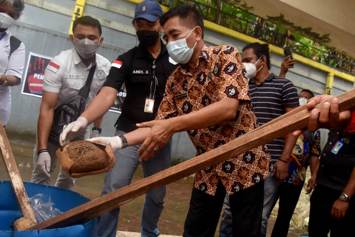 ANTARA FOTO/FB Anggoro PEMUSNAHAN BARANG BUKTI NARKOBA DI MALUKU
