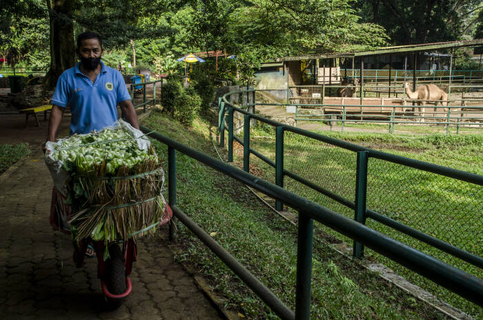 ANTARA FOTO/Novrian Arbi BANTUAN MAKANAN UNTUK SATWA KEBUN BINATANG BANDUNG