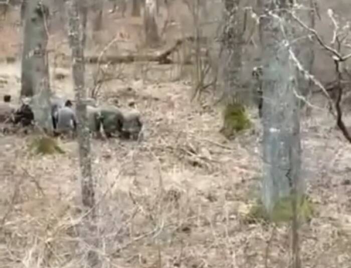 Tentara Rusia terlihat tengah menjalankan ibadah salat di tengah hutan. (Instagram/Infokomando)