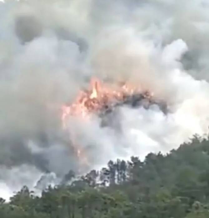 Pesawat China Eastern jatuh memicu ledakan hingga terbakarnya hutan. (Foto/The Sun)