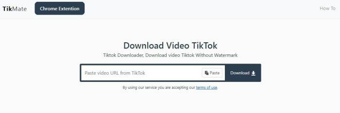 tiktok mp4 downloader