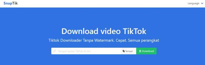 tiktok mp3 downloader