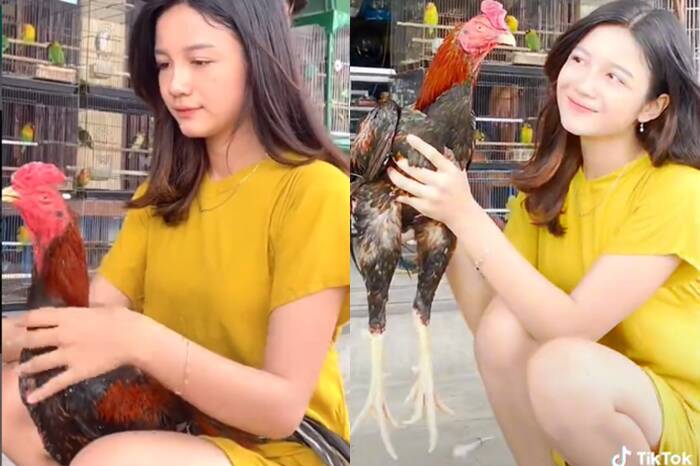 Nonni Indah, gadis cantik yang hobi dan penyayang burung dan ayam jantan. (TikTok/@nonnindahh1)