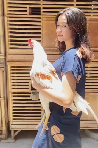 Nonni Indah, gadis cantik yang hobi dan penyayang burung dan ayam jantan. (TikTok/@nonnindahh1)