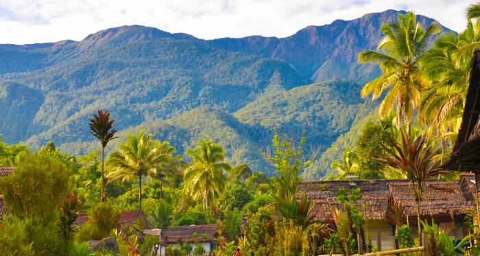 gunung tertinggi di Indonesia 