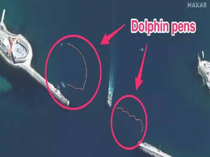Citra satelit klaim Rusia latih lumba-lumba. 