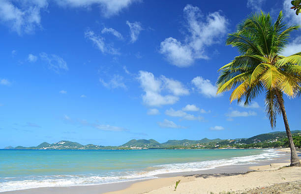 Ilustrasi pantai (Unsplash/holgs)