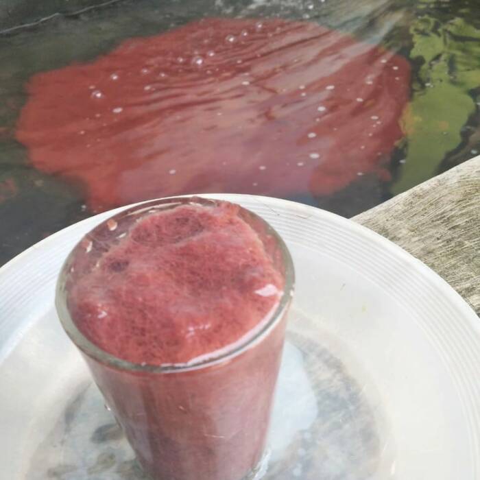 jus paling menjijikkan