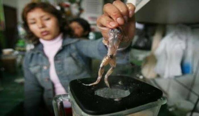  jus paling menjijikkan