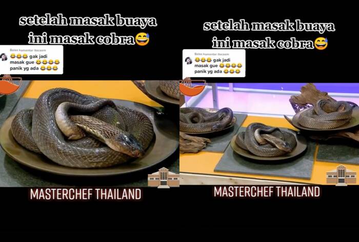 MasterChef Thailand 