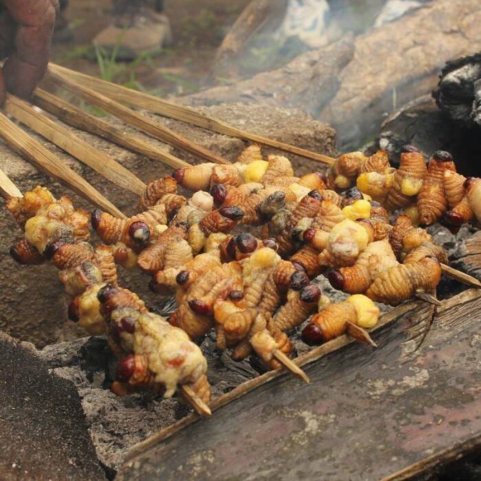 makanan khas papua barat