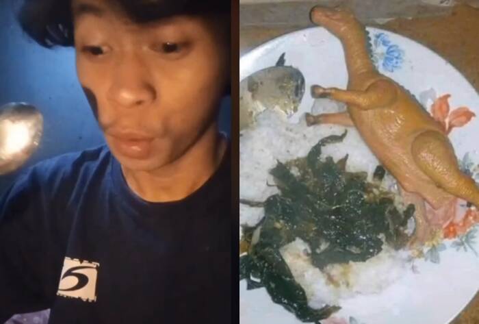 Menu unik dino goreng (TikTok/@hallogun)