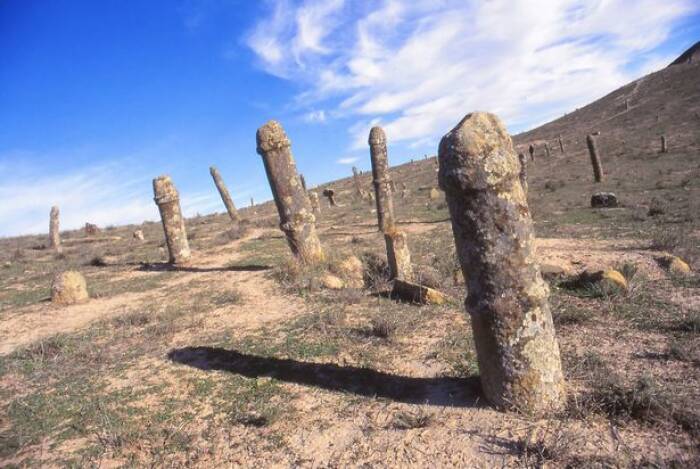 Batu nisan kelamin di Komplek Pemakaman Nabi Khalid Iran (dailystar)