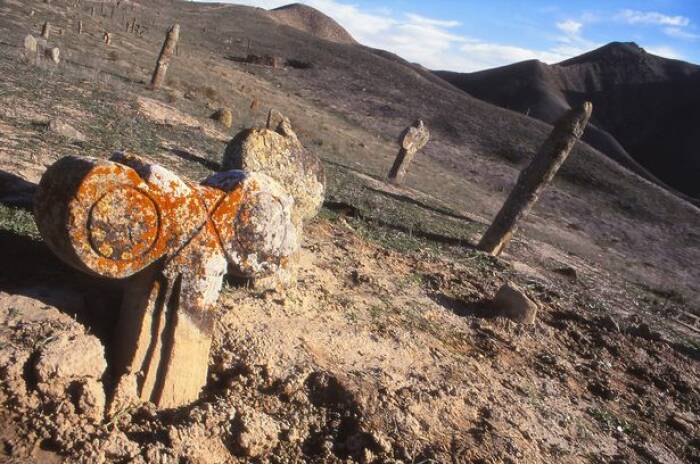 Batu nisan kelamin di Komplek Pemakaman Nabi Khalid Iran (dailystar)