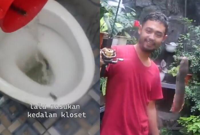 Ternak ikan lele di septic tank (Twitter/Komedi Retjeh)