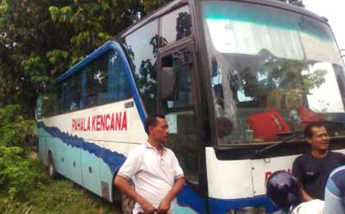 Kisah Bus Pahala Kencana Yang Mendadak 'Pindah' Ke Hutan Blora, Bukti ...