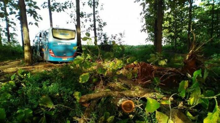 Bus pahala kencana masuk hutan Blora (Istimewa)