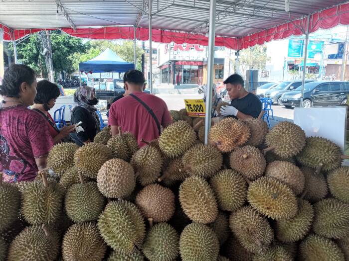 festival durian boyolali