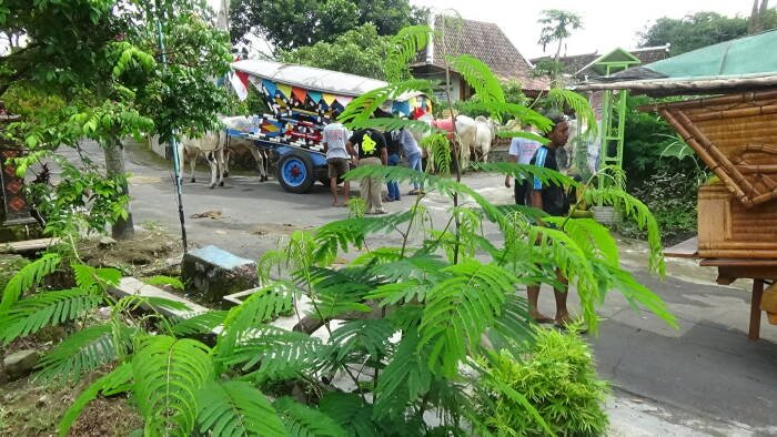 petani milenial klaten