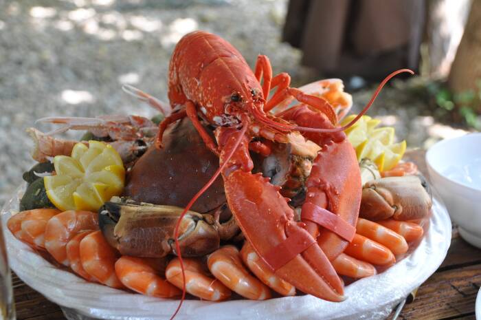 seafood makanan yang banyak mengandung zat besi