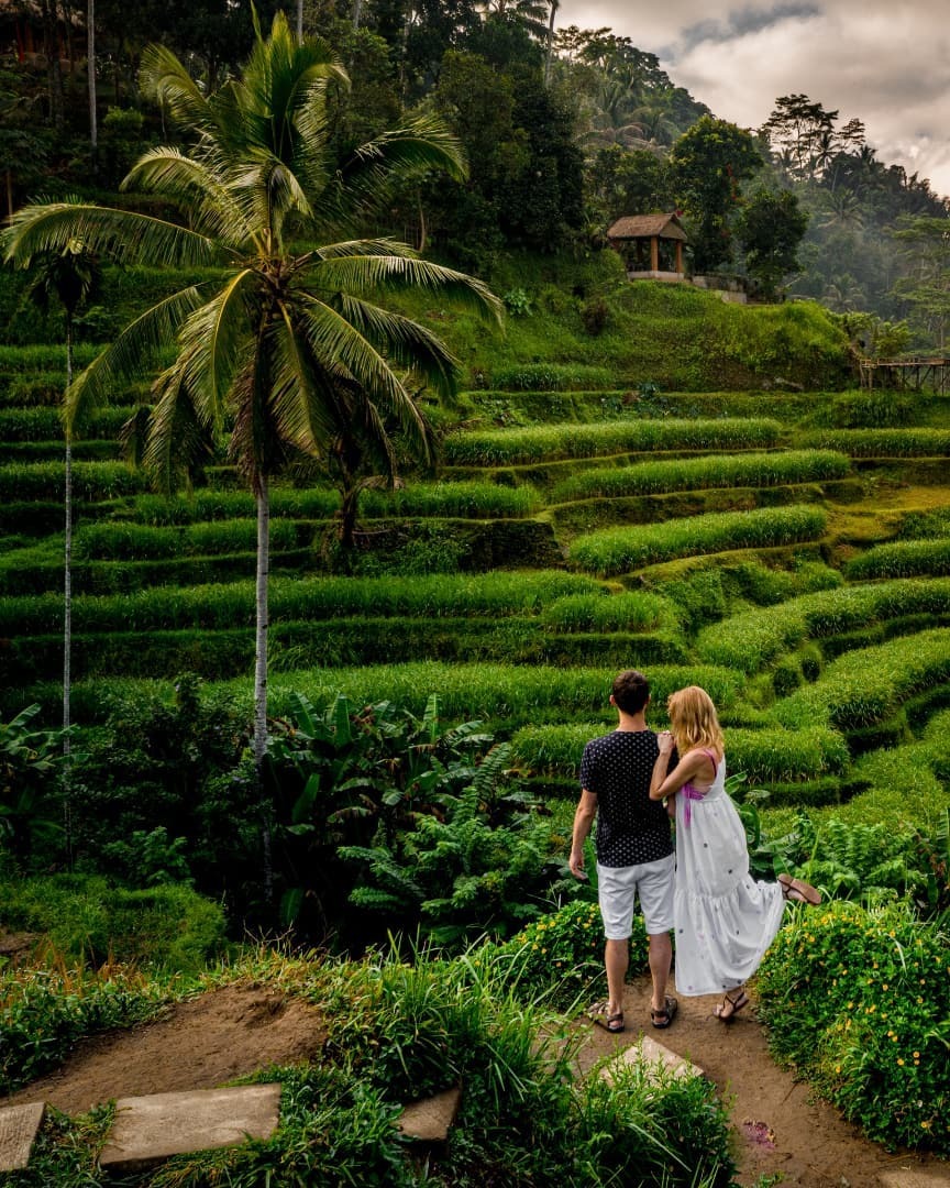 Zen Hideaway Ubud качели