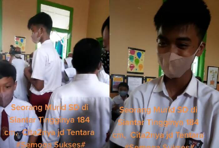 tinggi murid kelas 6 SD 184 cm (TikTok/eksisnews.com)