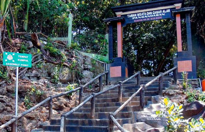 Cagar Alam Pangandaran 