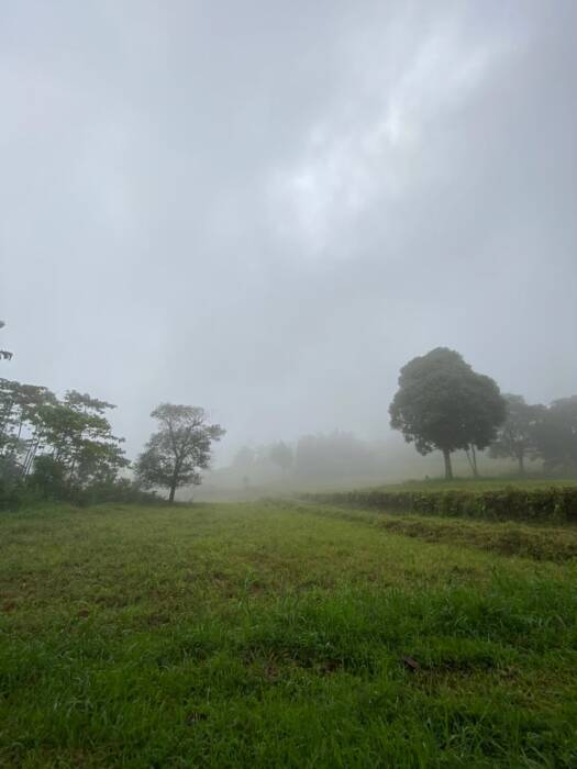 savana cibedug ciawi bogor