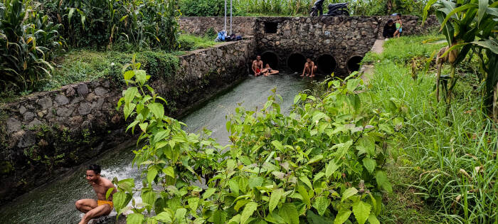 prosotan tengah sawah