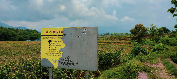 prosotan tengah sawah