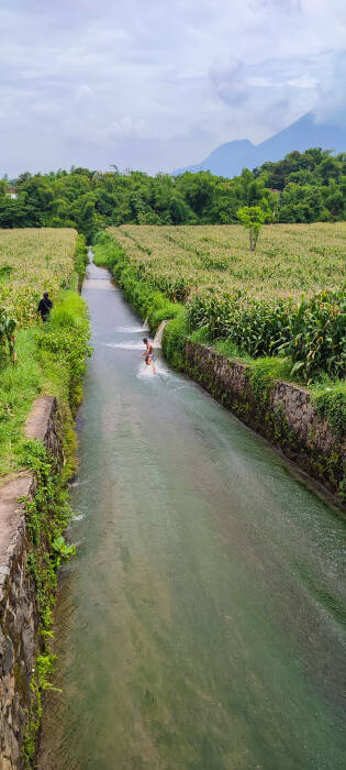 prosotan tengah sawah