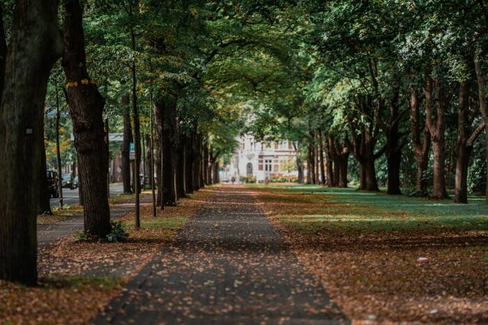 sapardi djoko damono puisi