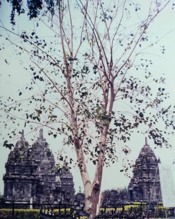 candi prambanan