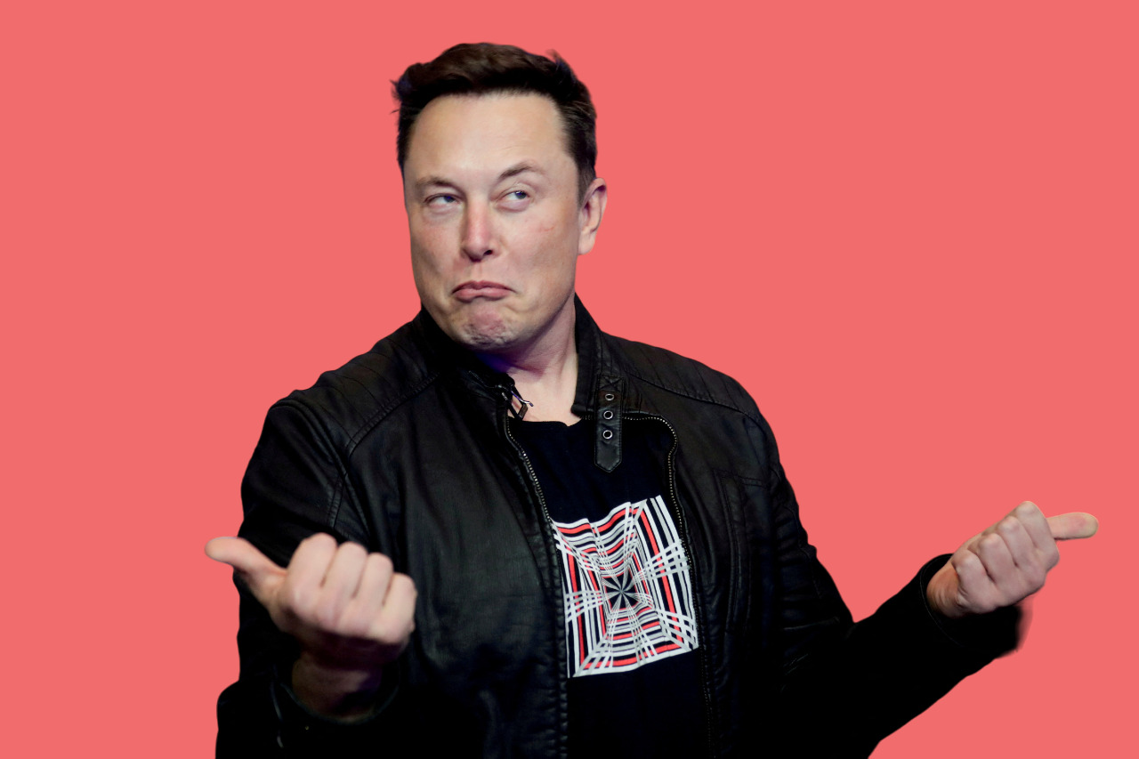 Elon Musk. (REUTERS/Hannibal Hanschke)
