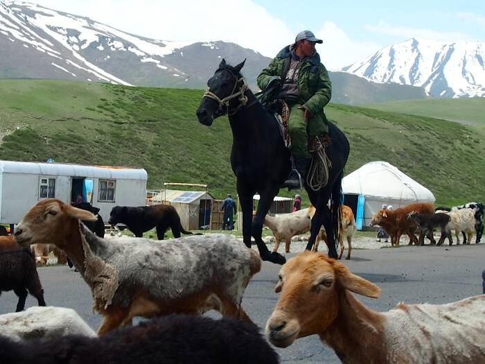 nomaden kirgistan
