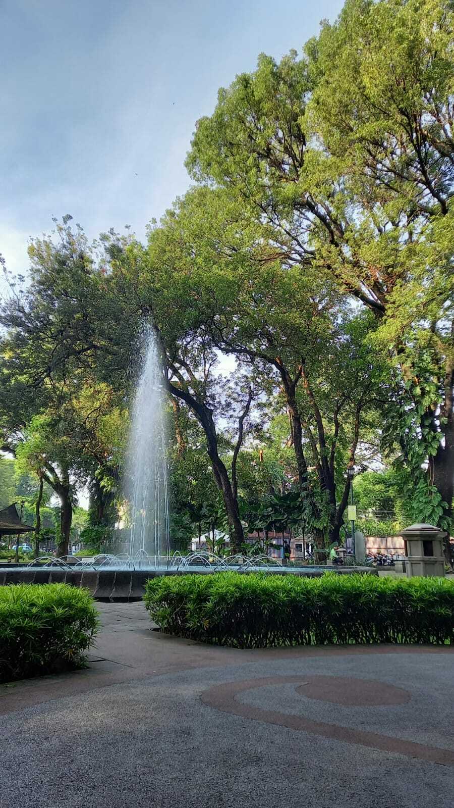 Ada banyak hal yang bisa kamu lakukan di Taman Suropati, yang merupakan salah satu taman tertua yang berada di Jakarta. (Z Creators/Mentari Meida)